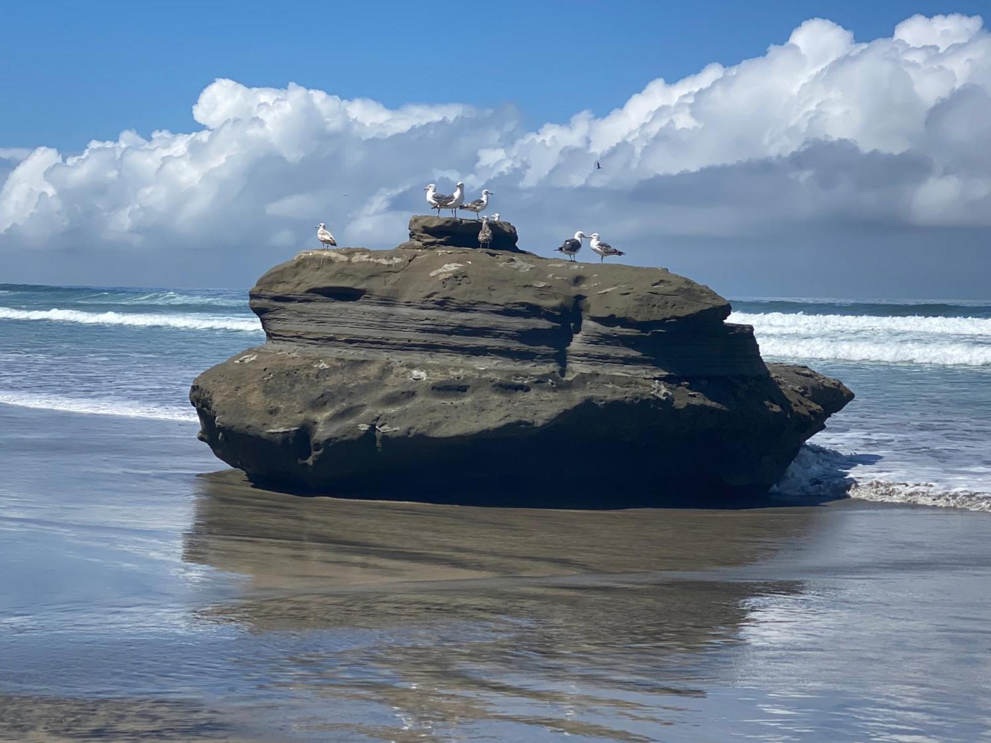 Dolphin Beach Get Away Rosarito Luaran gambar